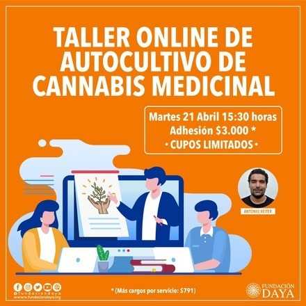 Taller Básico sobre Cultivo de Cannabis Medicinal martes 21 abril 2020