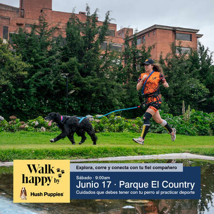 Entrenamiento de Canicross  N3