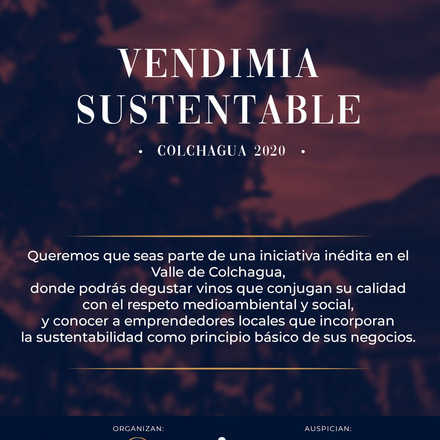 Primera Vendimia Sustentable Colchagua 2020