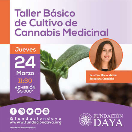 Taller Básico de Cultivo de Cannabis Medicinal 24 marzo 2022