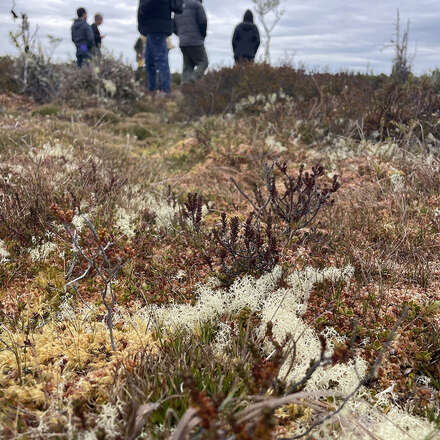Taller Acuerdo de Venecia