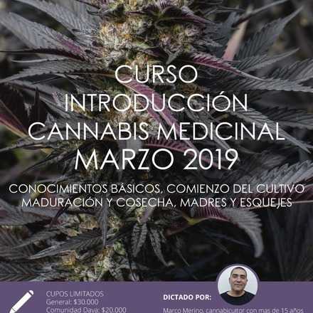 Curso Introductorio de Cannabis Medicinal 