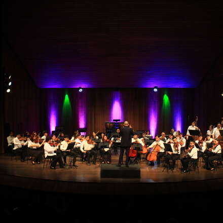 Dvorak y Tchaikovsky: Una mirada a través del Romanticismo | Concierto con Orquesta Sinfónica UNAB