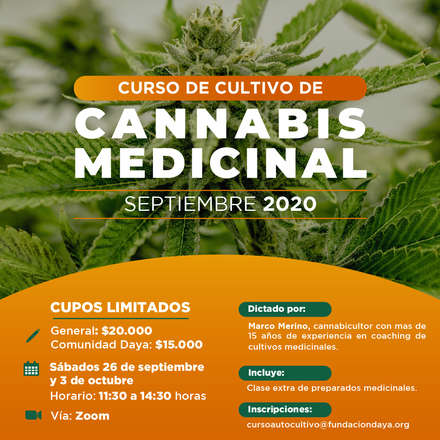 Curso de Cultivo de Cannabis Medicinal septiembre