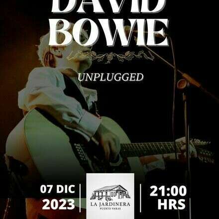 David Bowie Unplugged