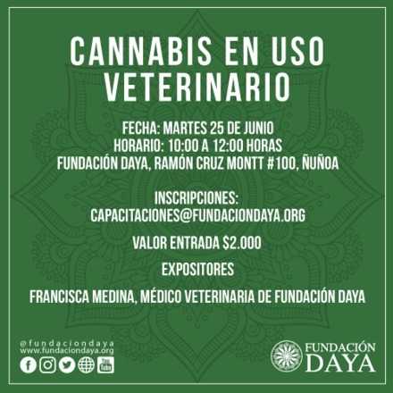 Cannabis en Uso Veterinario