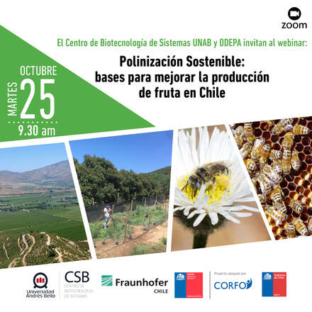 Polinización Sostenible: bases para mejorar la producción de fruta en Chile