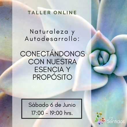 Taller de Autodesarrollo