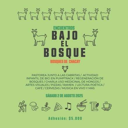 Encuentros Bajo el Bosque 