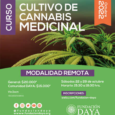 Curso de Cultivo de Cannabis Medicinal - Modalidad Remota - Octubre 2022