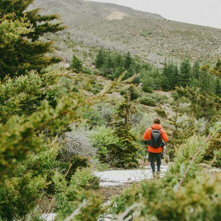 Día de las Montañas: Conectando con el Bosque