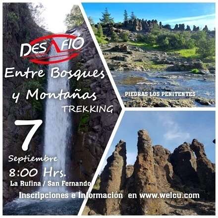 Trekking Entre Bosques y Montañas 