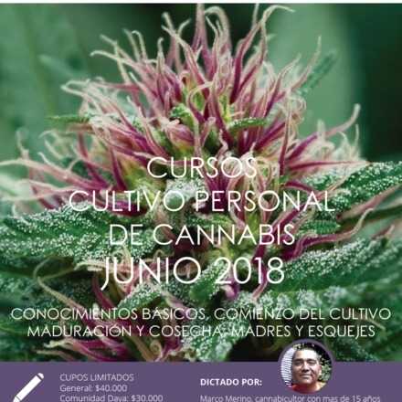  Cursos de Cultivo Personal de Cannabis junio 2018