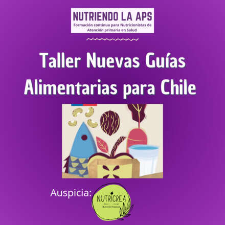 Taller Nuevas Guias Alimentarias para Chile