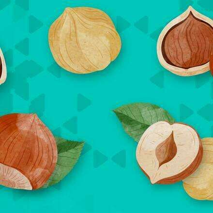 3era Conferencia Redagricola  Avellano Europeo 2026