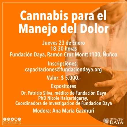 Cannabis para el Manejo del Dolor