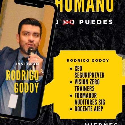WeBee - Proyecto Humano- Rodrigo Godoy