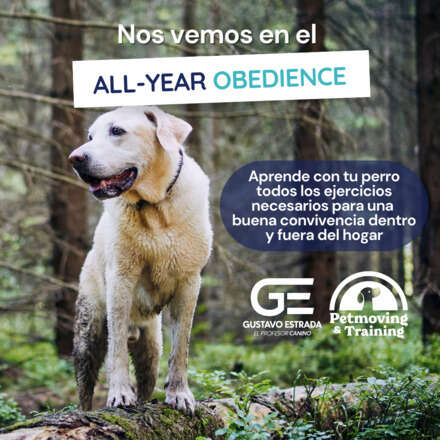 All-Year Obedience 3ra Edición