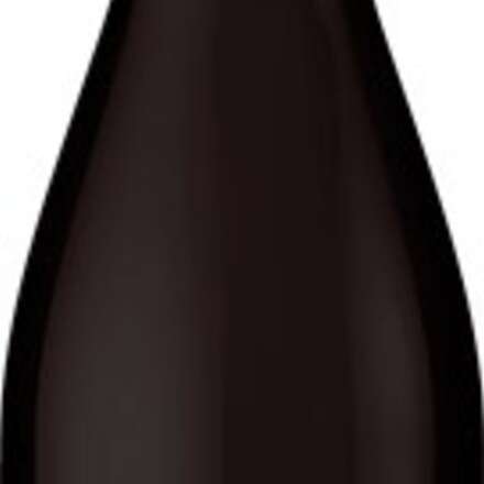 Cata de vino "Grabados del Choapa, Carménè" de la Viña Choapa 