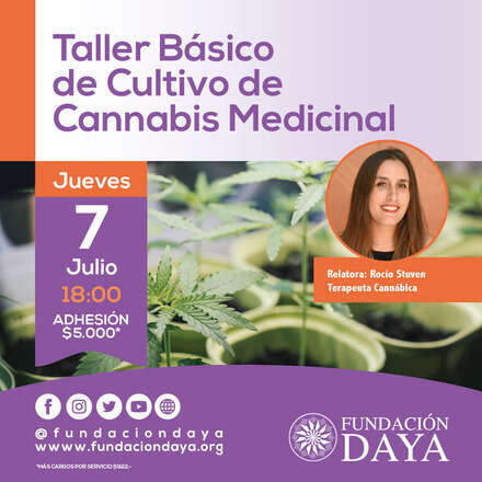 Taller Básico de Cultivo de Cannabis Medicinal 7 julio 2022