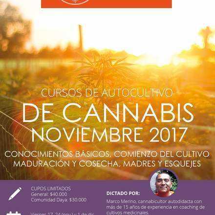 Cursos de Autocultivo de Cannabis noviembre 2017