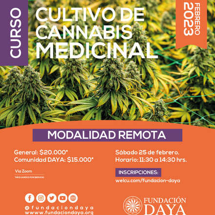 Curso de Cultivo de Cannabis Medicinal - Febrero 2023