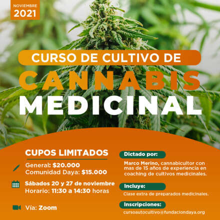 Curso de Cultivo de Cannabis Medicinal noviembre 2021