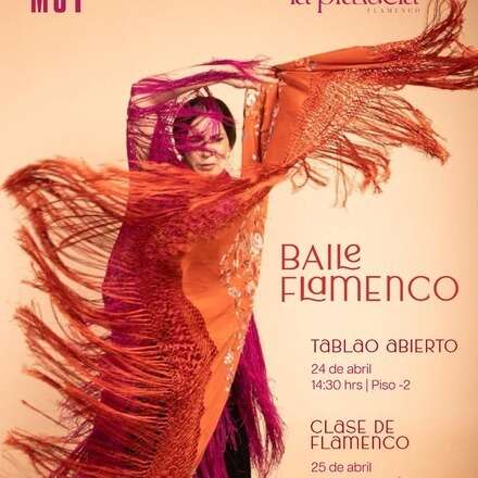 Día de la danza - Flamenco en MUT