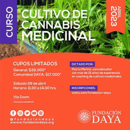 Curso de Cultivo de Cannabis Medicinal - Abril 2023