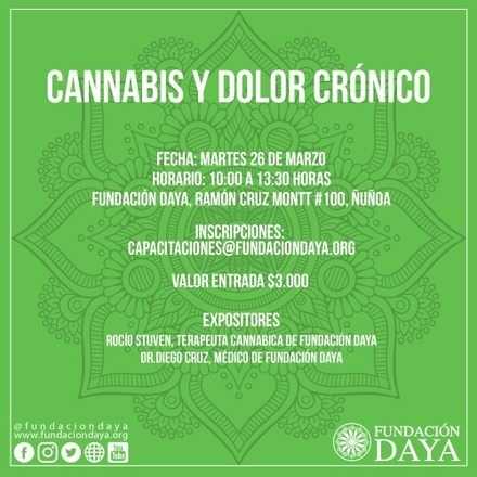 Taller Cannabis y Dolor Crónico 