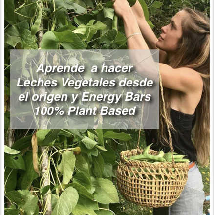 Preparar Leches Vegetales desde el Origen y Energy Bars 100% Plant Based con Catalina Amenábar