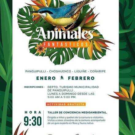  Animales Fantásticos 2019, Fecha final 2 de marzo, Huitag, Panguipulli