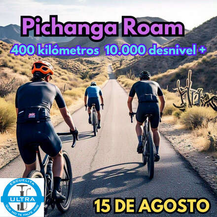 Pichanga Roam