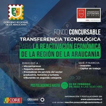 Taller 2 de Postulación al Fondo Concursable Transferencia Tecnológica para la Reactivación Económica de la Región de La Araucanía
