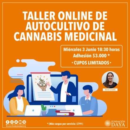 Taller Básico sobre Cultivo de Cannabis Medicinal 3 junio