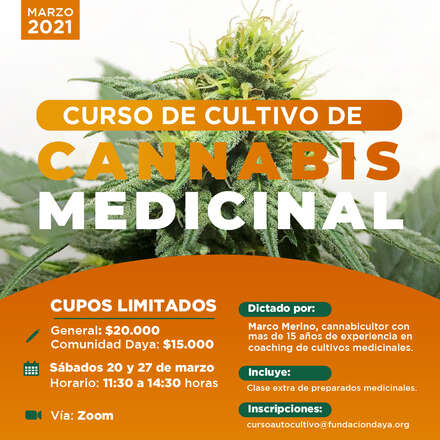 Curso de Cultivo de Cannabis Medicinal marzo 2021