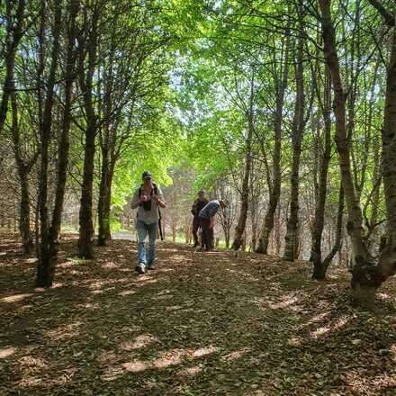 Excursión Botánica Guiada 20/9