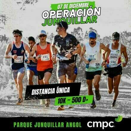 Operación Junquillar CMPC 2024 