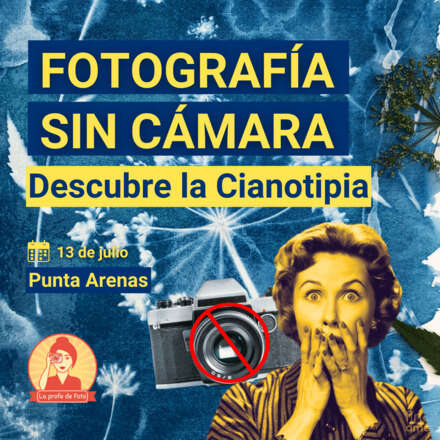 Fotografía sin cámara, descubre la Cianotipia