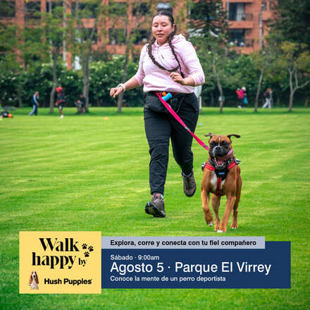 La mente de un perro deportista