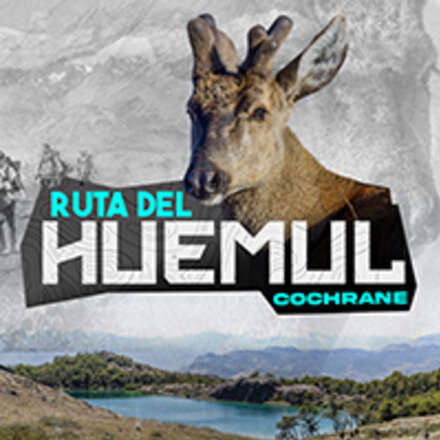 RUTA DEL HUEMUL VERANO 2025