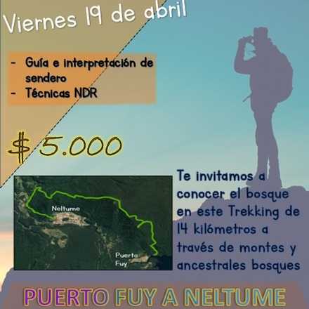 Trekking 14K Abril Puerto Fuy - Neltume