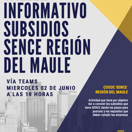 Taller Informativo Subsidios Sence Región del Maule