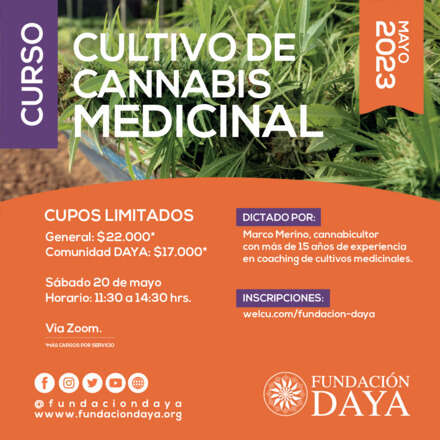 Curso de Cultivo de Cannabis Medicinal - mayo 2023