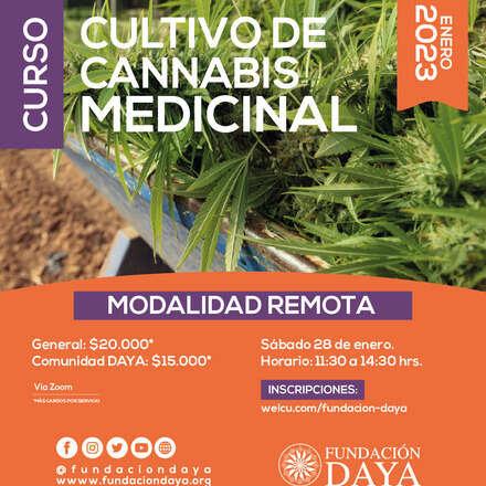 Curso de Cultivo de Cannabis Medicinal - Enero 2023