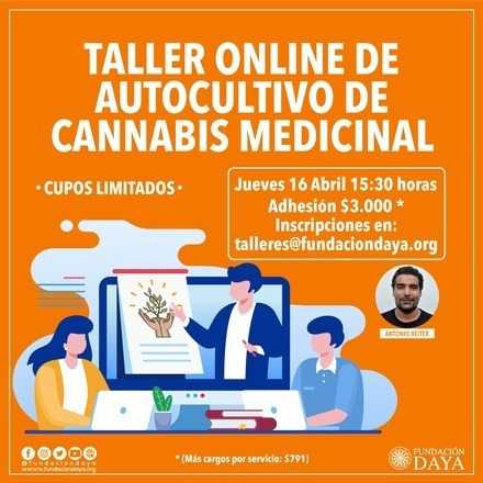 Taller Básico sobre Cultivo de Cannabis Medicinal jueves 16 abril 2020