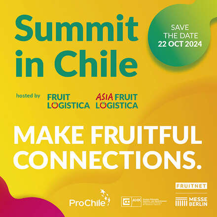 Summit in Chile - Make Fruitful Connections