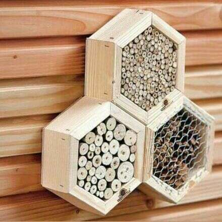 Taller hotel de insectos junto a Cooperativa de Diseñadoras ENSAMBLA 