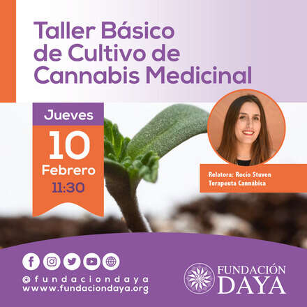 Taller Básico de Cultivo de Cannabis Medicinal 10 febrero 2022