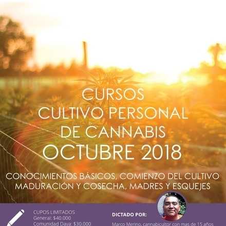 Cursos de Cultivo Personal de Cannabis octubre 2018